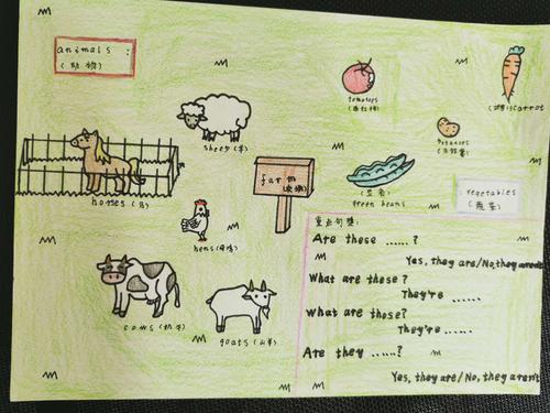 四年级at the farm思维导图创意作业展