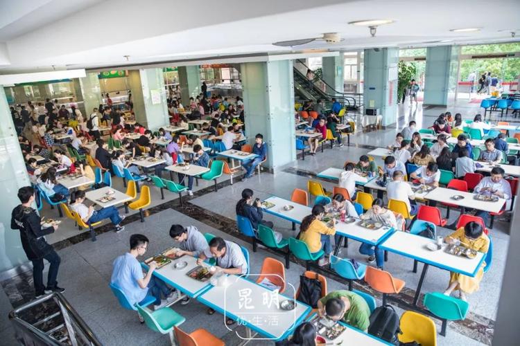 再见了,云南财经大学!