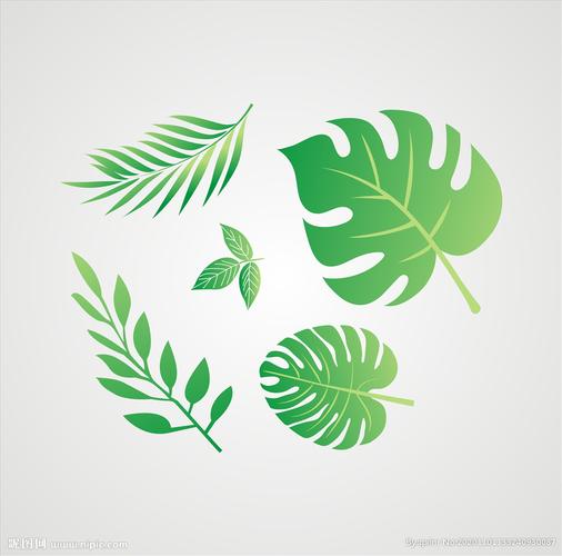矢量树叶元素设计图__海报设计_广告设计_设计图库_昵