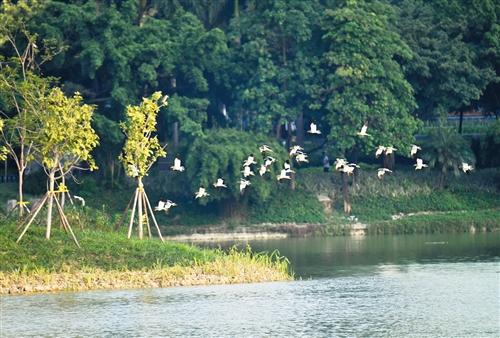 那考河生态综合整治项目成为住建部海绵城市和财政部ppp模式双试点