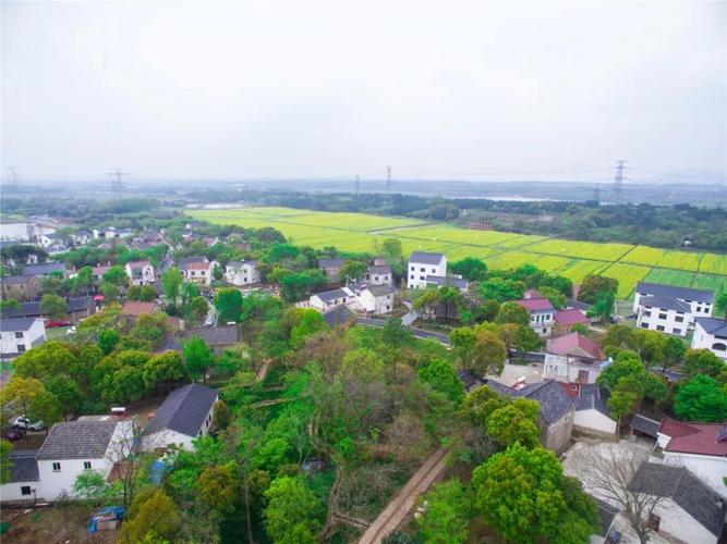 曹山大事记终于等到你江苏省特色田园乡村牛马塘盛大揭牌