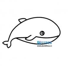 海洋动物简笔画图片