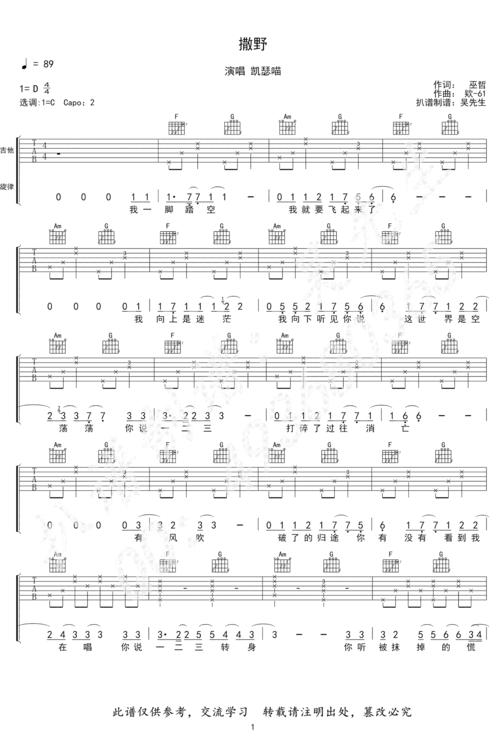 撒野吉他谱凯瑟喵c调弹唱谱巫哲撒野小说主题曲