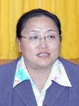 任中共湟中县委副书记(正县级); 1993年06月至1996年05月,任青海省