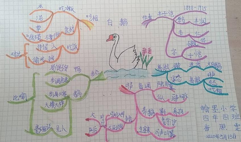 四年四班《白鹅》思维导图集