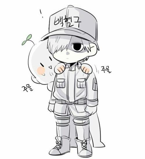 工作细胞-白细胞