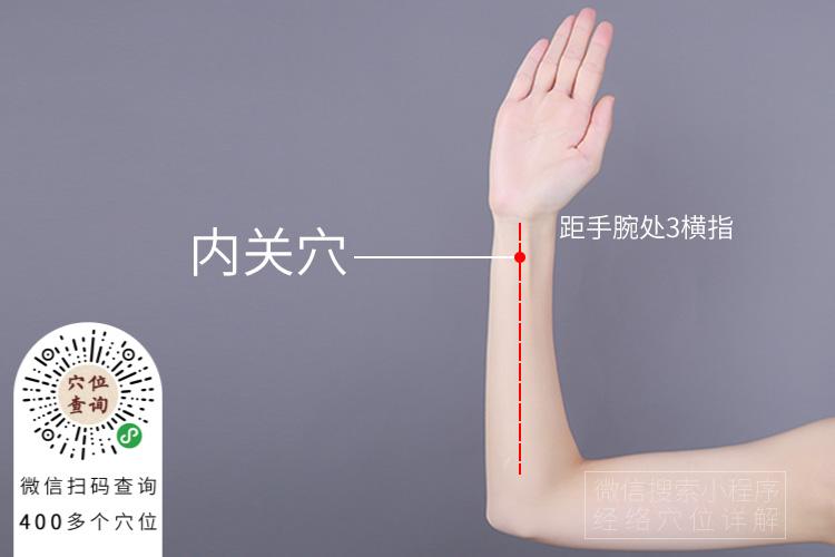 内关穴