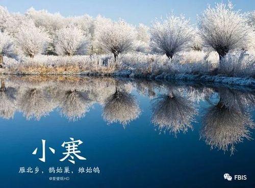小寒三候