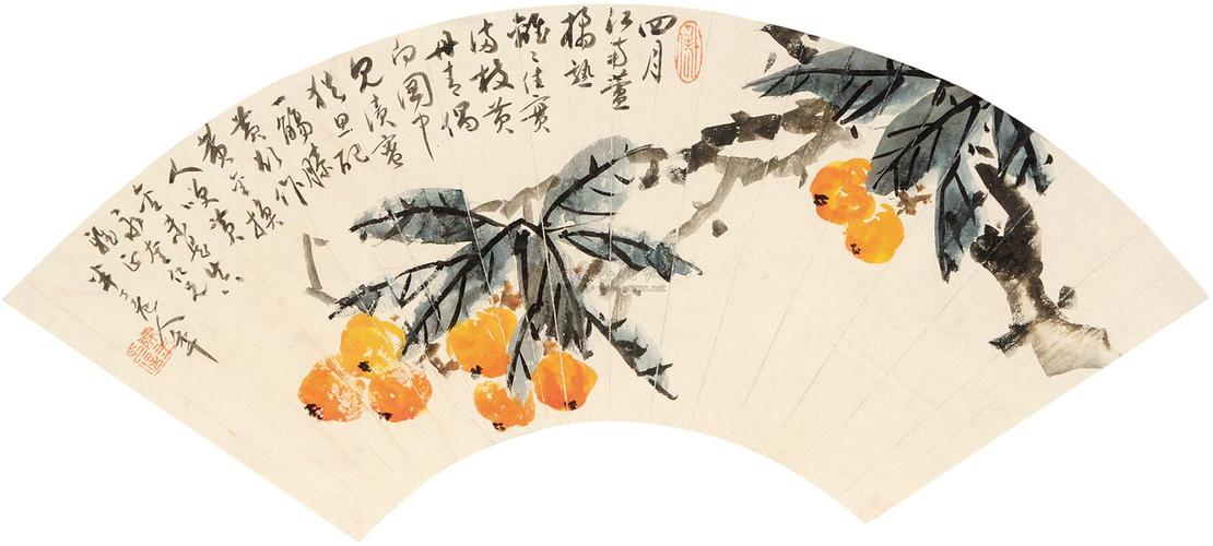 0332枇杷扇面扇面设色纸本