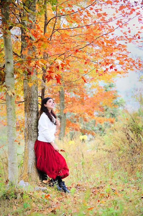 【转载】【制作音画人物素材二篇】飘红的枫叶