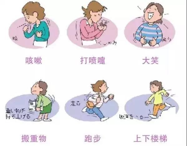 当大笑,咳嗽,喷嚏,运动甚至抱孩子时都会有漏尿现象,让妈妈们苦