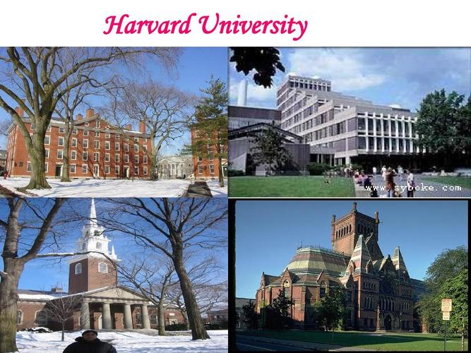 harvard university