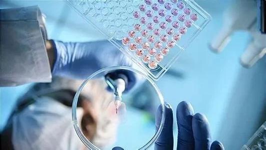 原创药物研发用创新抵御灰犀牛