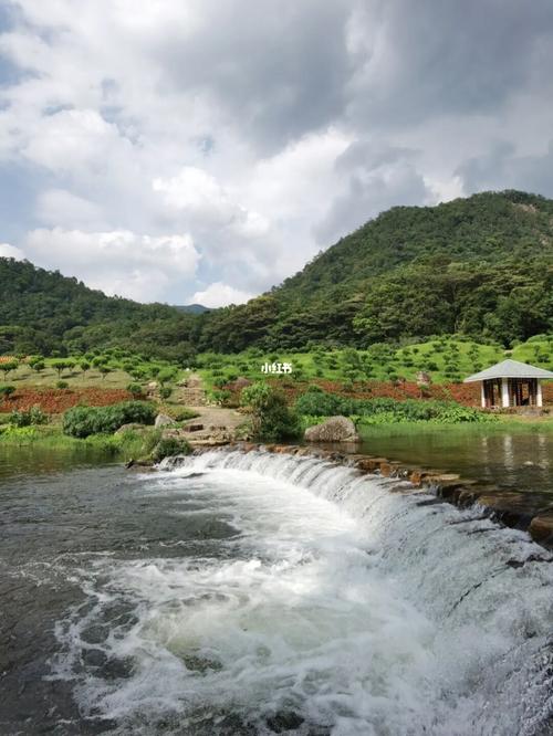 石门国家森林公园_夏天去哪玩_景点_森林_溪流_花海_石门国家森林公园