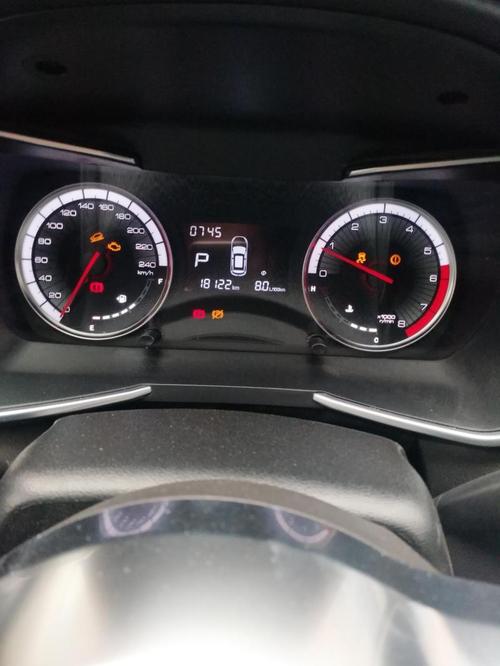 众泰t500车子发动以后仪表灯出现警示灯亮不知道怎么回事求指点