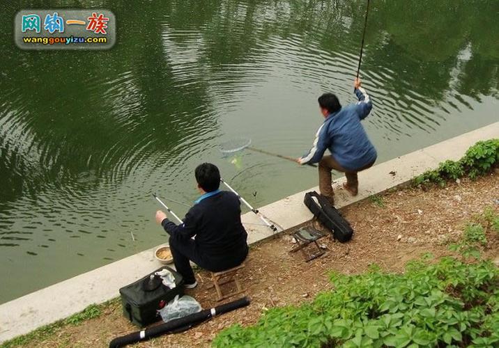 京密引水渠钓鱼北京野钓大鲫鱼好地方钓友在京密引水渠钓到斤鲫2