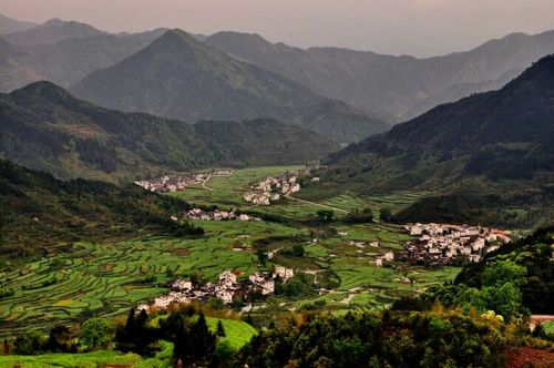 江岭村,梯田油菜花海,构成一幅优美的田园风光.