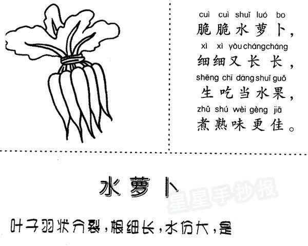 水萝卜简笔画怎么画