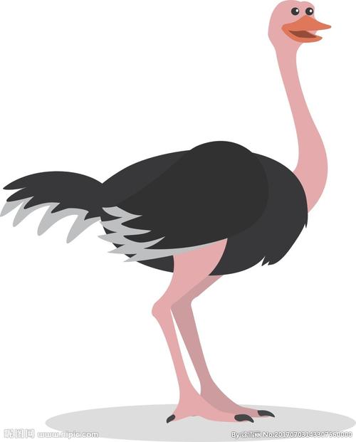 卡通鸵鸟图片