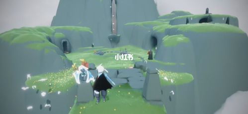 菇菇白鸟永远的神!_白鸟怎么样_光遇_少林寺_游戏