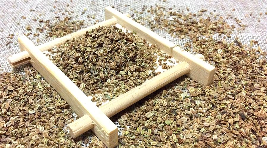 蛇床子 500克 免邮 蛇床子粉可配五倍子中药材蛇床子百部