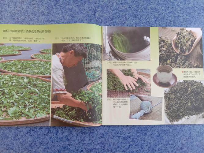 语言   科学《奇妙的松果》 1初步认识松果,了解其成长过程.