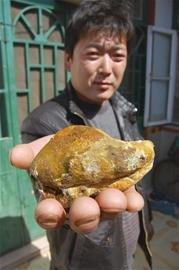 青岛一屠户买头瘦牛花4千剖出牛黄值5万