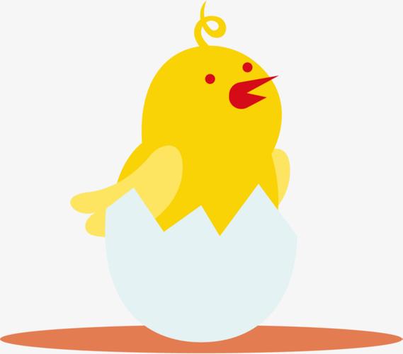 蛋壳小鸡黄色可爱蛋壳小鸡