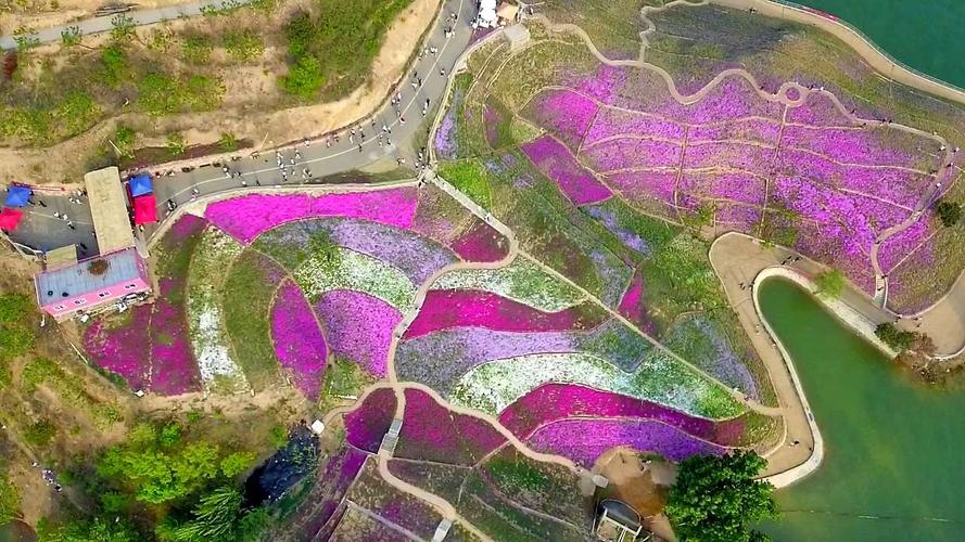 2020年五月行摄迁西雨花谷薰衣草庄园