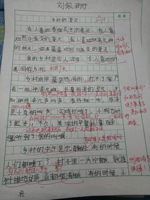 周日上午作文《乡村的夏天》