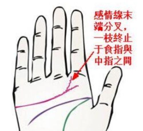 手相感情线末端分叉,男人二婚的面相,体相的五行属性