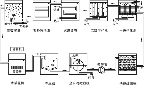所有分类 农林牧渔 工厂化循环水养殖项目的实施与效果  从养鱼池排出