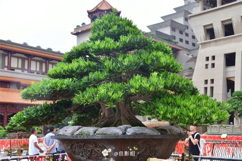 广西玉林有个云天宫,地藏万象,宫纳古今