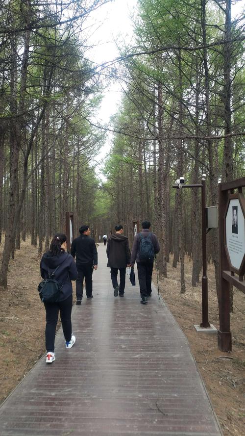 四平塔子山红色之旅