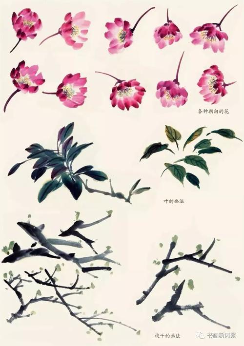 桃花,玉兰,紫藤,海棠的画法!
