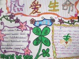 生命的起源手抄报 手抄报图画