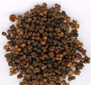 中药吴茱萸配伍作用和功效