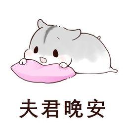 老公表情包关于老公的表情包小仓鼠老公表情包