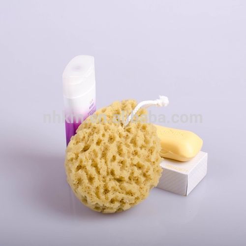 china bath sea sponge