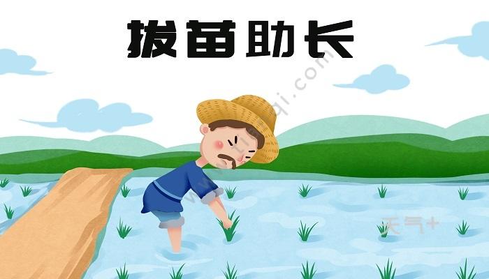 揠苗助长的故事 揠苗助长的故事告诉我们什么道理