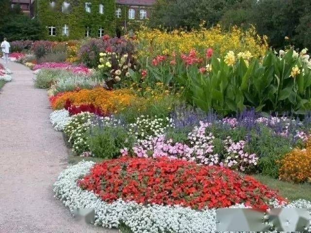 花园设计之灵魂植物配置