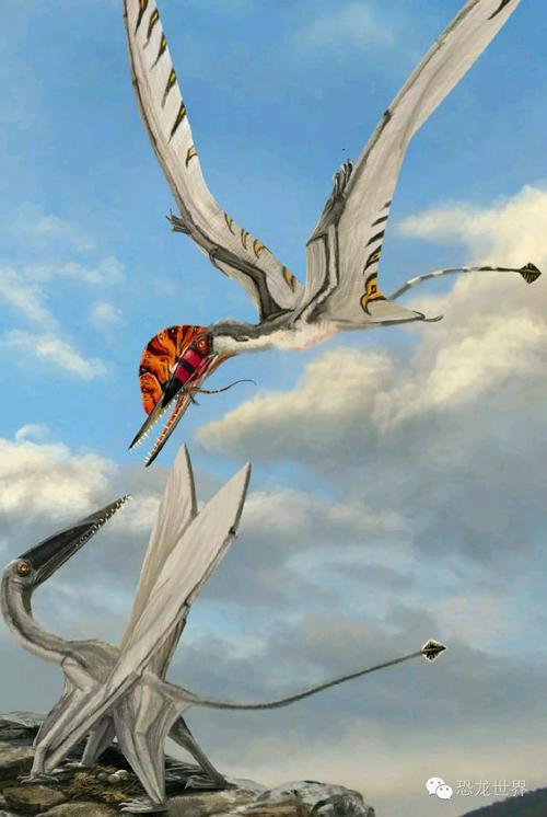 【科普】达尔文翼龙:演化的节点--弱肉强食