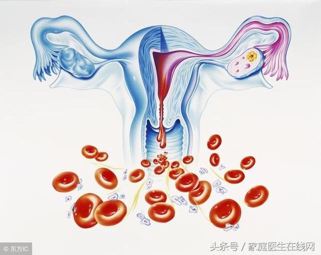 什么是"石女"?石女的这些身体特征,你都知道吗