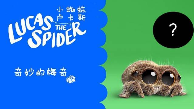 小蜘蛛卢卡斯新朋友梅奇登场可爱还有众多表演技能