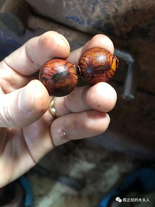 海南黄花梨越南黄花梨蜘蛛纹对比及纹理与肉质关系解析