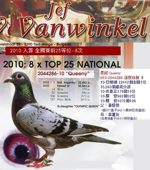 2010年亚精顿全国35867羽总冠军——杰夫·凡温克
