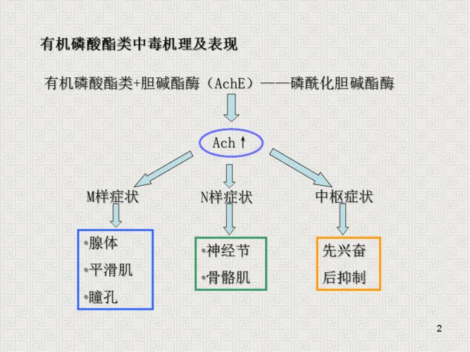 有机磷农药中毒及解救ppt课件