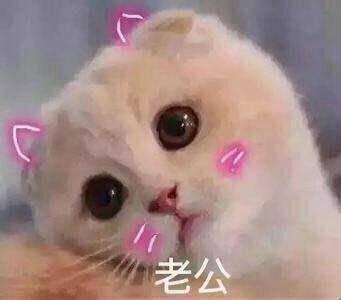 超萌表情包撒娇撩男朋友的萌表情包