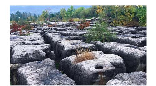 山东省费县石林景区