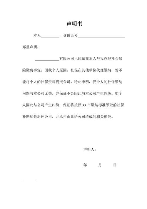 个人声明书模板